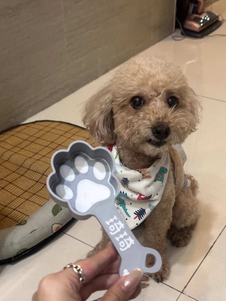 Personalized Dog Food Scoop