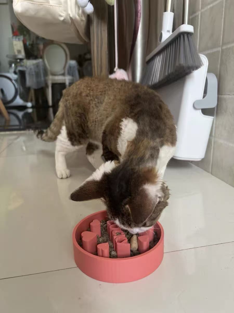 Custom Slow Feeder Dog Bowl - Personalized Dog Bowl with Name - Ideal Slow Feeder for Large and Small Breeds - Unique Design for Healthy Eating