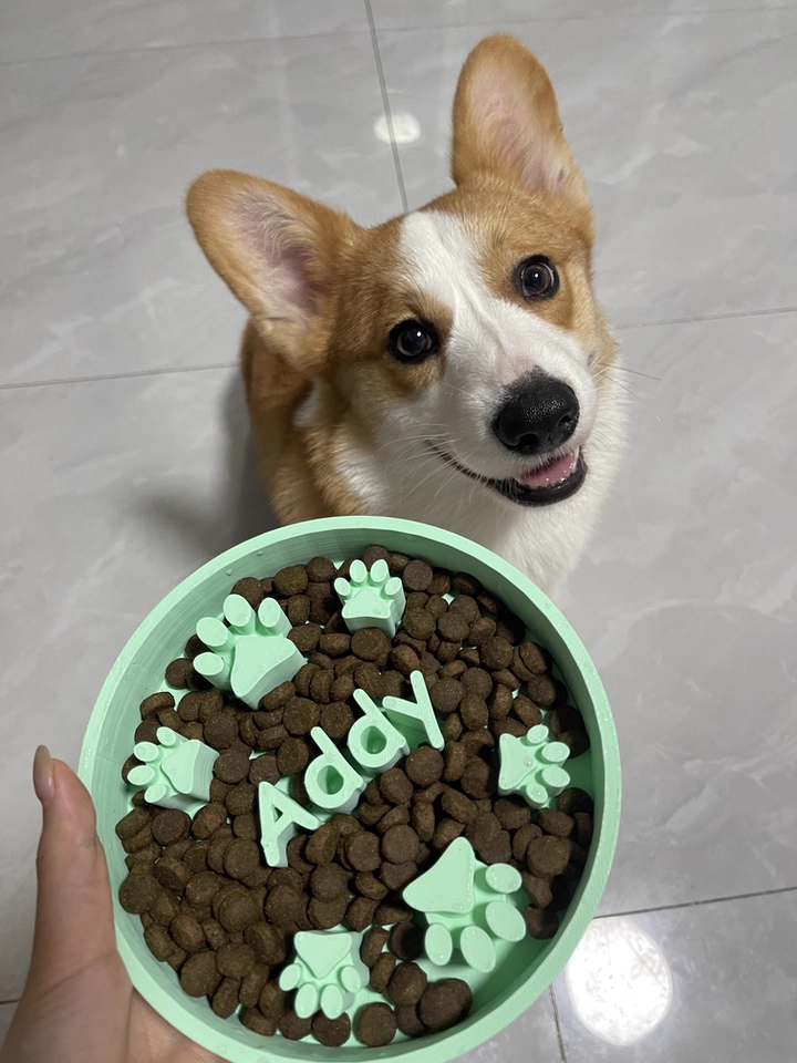 Custom Slow Feeder Dog Bowl - Personalized Dog Bowl with Name - Ideal Slow Feeder for Large and Small Breeds - Unique Design for Healthy Eating